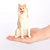 2798 Husky de Sibérie Chien Brun