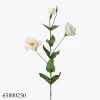 White250