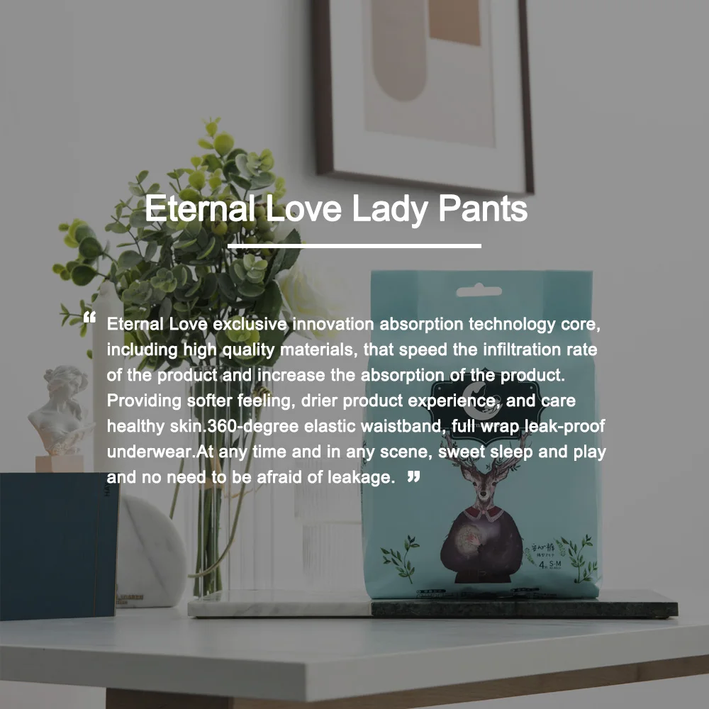 Wholesale Women Period Pants Sanitary Pad Disposable Menstrual Pants Lady Menstrual Period Pants