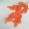 สีส้ม