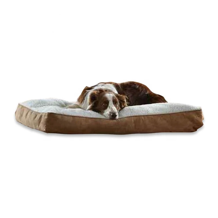 largest dog bed available
