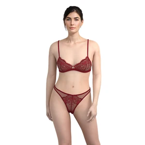 Custom Luxury XL Size Nylon Women's Bra Panty Set Hot Sexy Lace Mesh Silk Underwear Embroidery Decoration Wire Free Wholesale