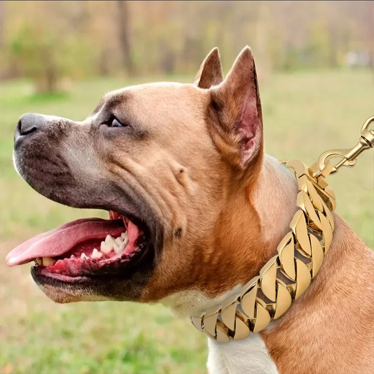 Luxury dog collars for large dogs best sale