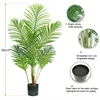160cm Dypsis lutescens