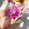 1 pcs color 2