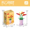 8814-3 Anthurium Scherzeria-num Schott 29 pz