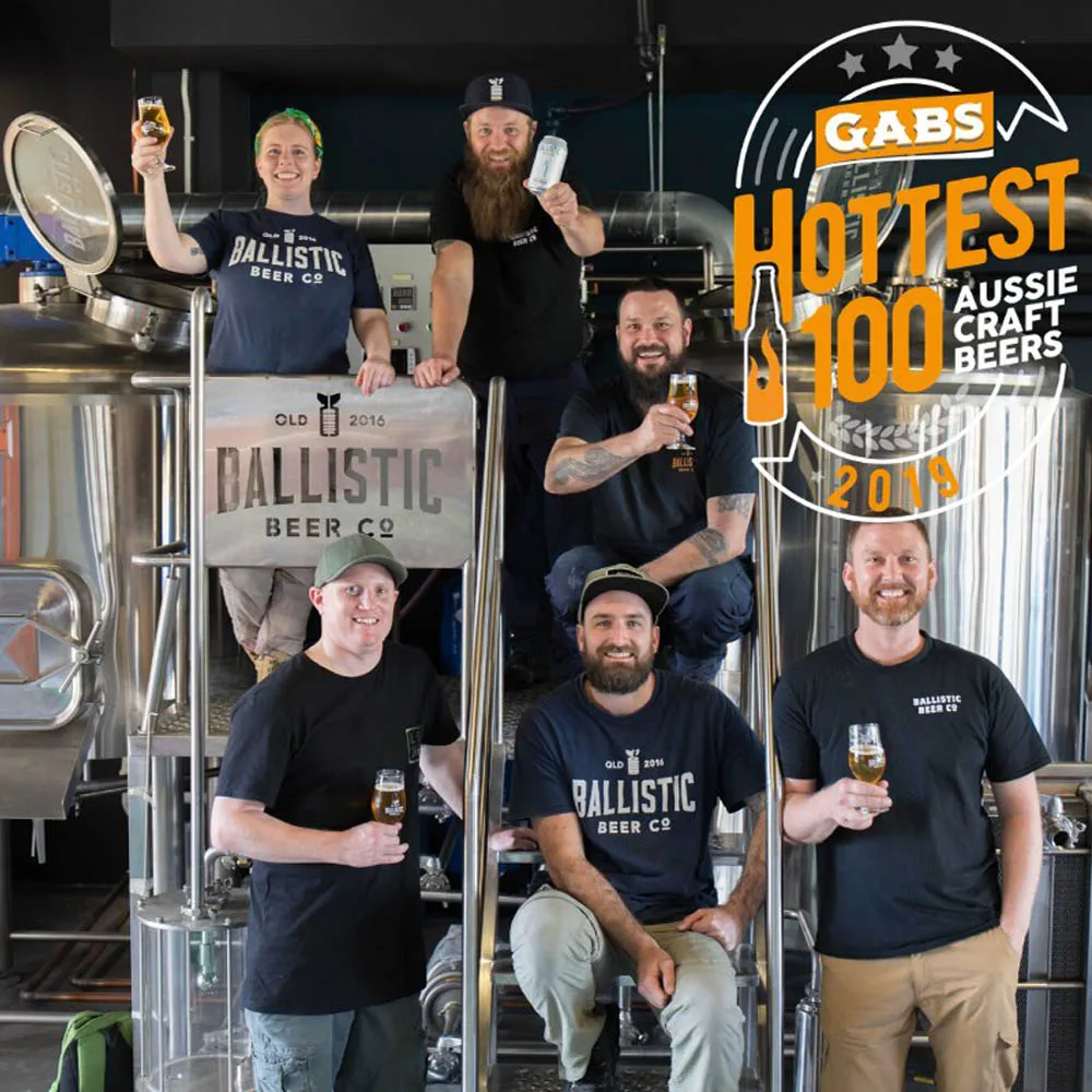 7bbl/800l Two Vessel Malt Drink Beer Fermenting Equipment For Sale