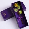 colorful Purple Box Gold Foil Flower - New