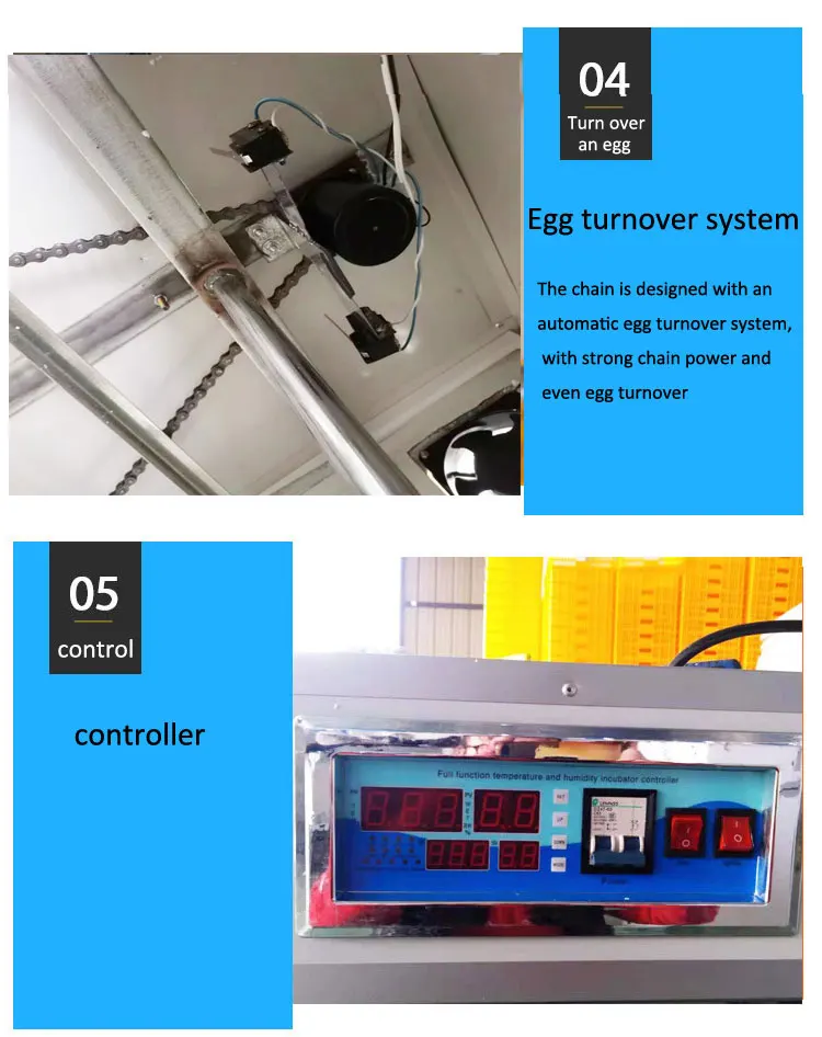 Eggs Incubator Small Capacity Industrial Egg Haching Machine 1232 Incubator