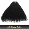4C Kinky coily