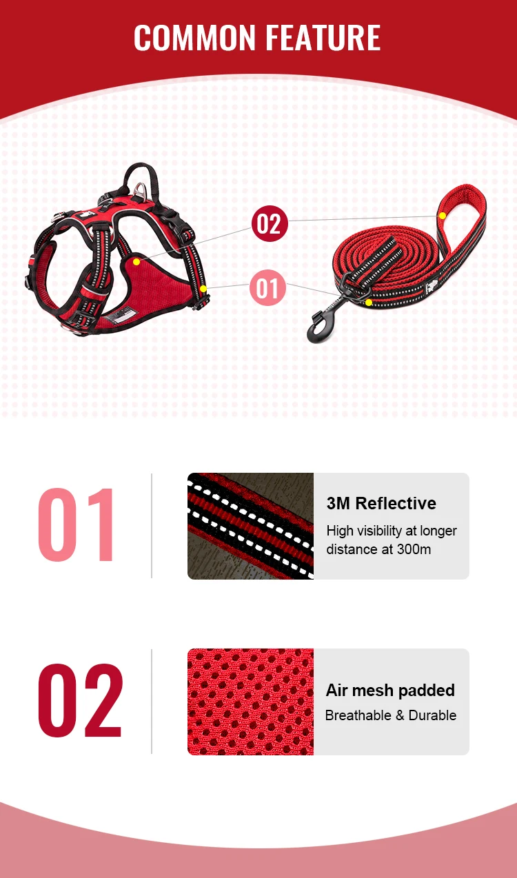 Truelove Classic 2023 Best Sell Adjustable Dog Harness And Leash Collar