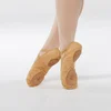 Cammello