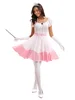 Robe Princesse Peach [Robe+Gants+Couronne]