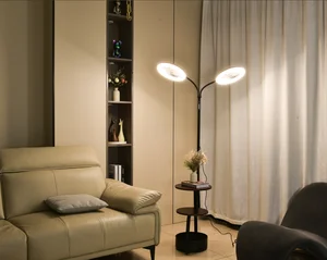 JACKSUN Minimalist Modern Floor Fan Light Home Use for Living Room Sofa Area  Bedroom Study LED Floor Fan Light