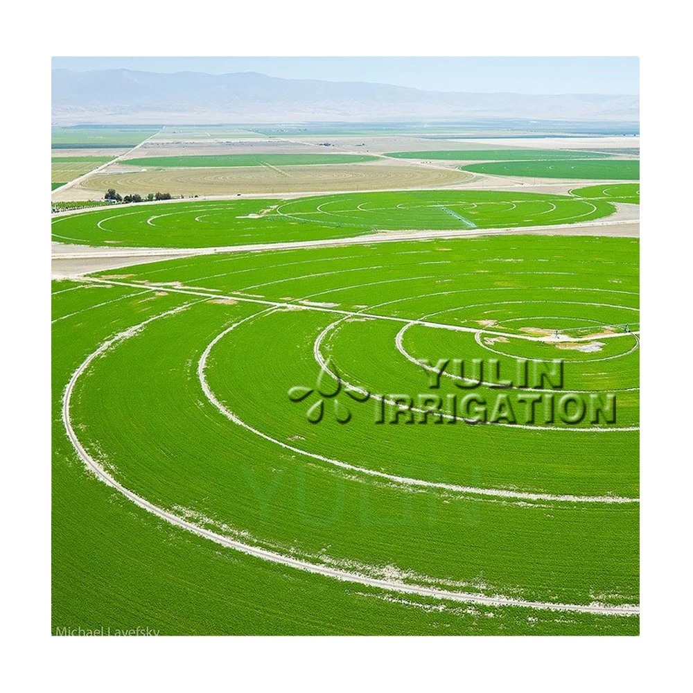 Yulin Center Pivot Irrigation System for Sale in Iraq Low Price for Maize Farm Irrigation