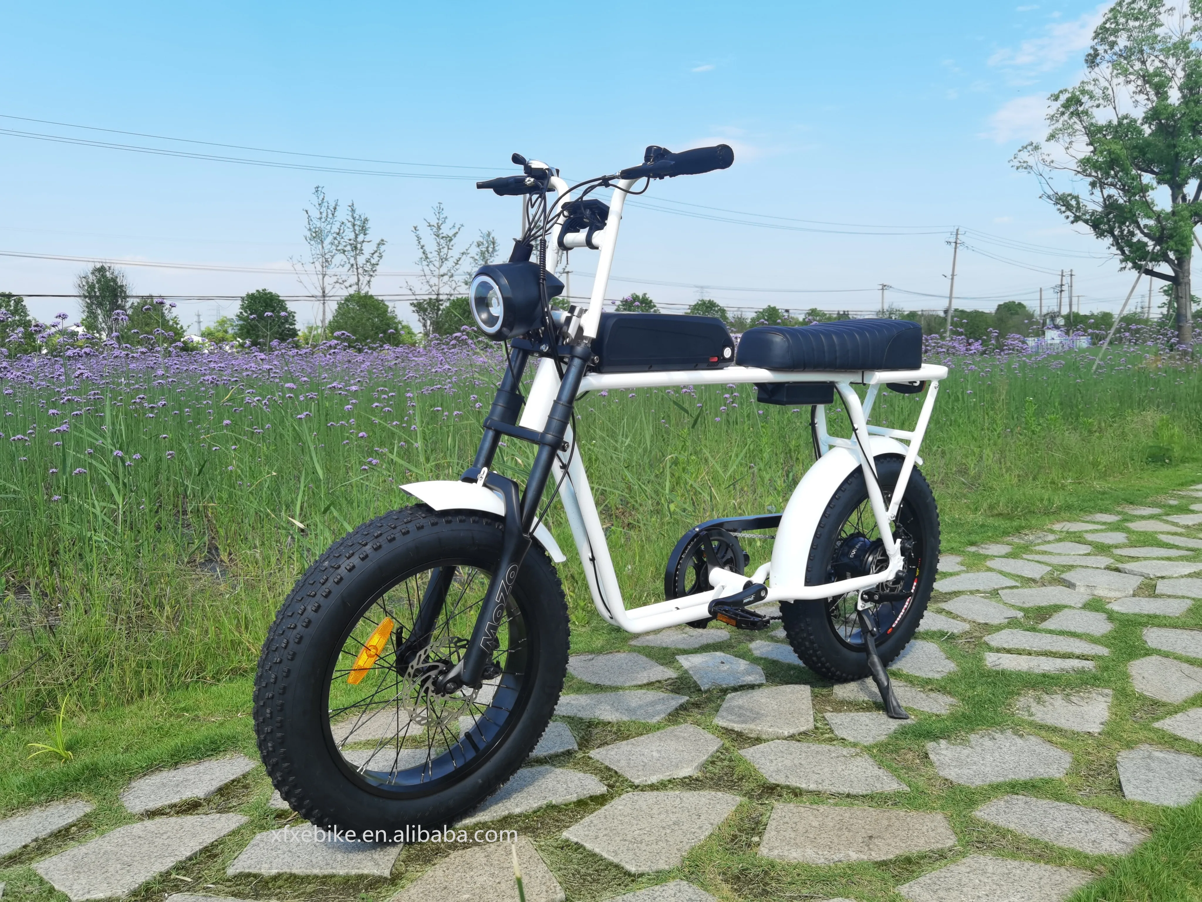 48v 14ah 20英寸胖轮胎电动自行车250w 350w 500w日本电动自行车