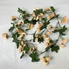 69 heads of champagne rose vine (1.8m)