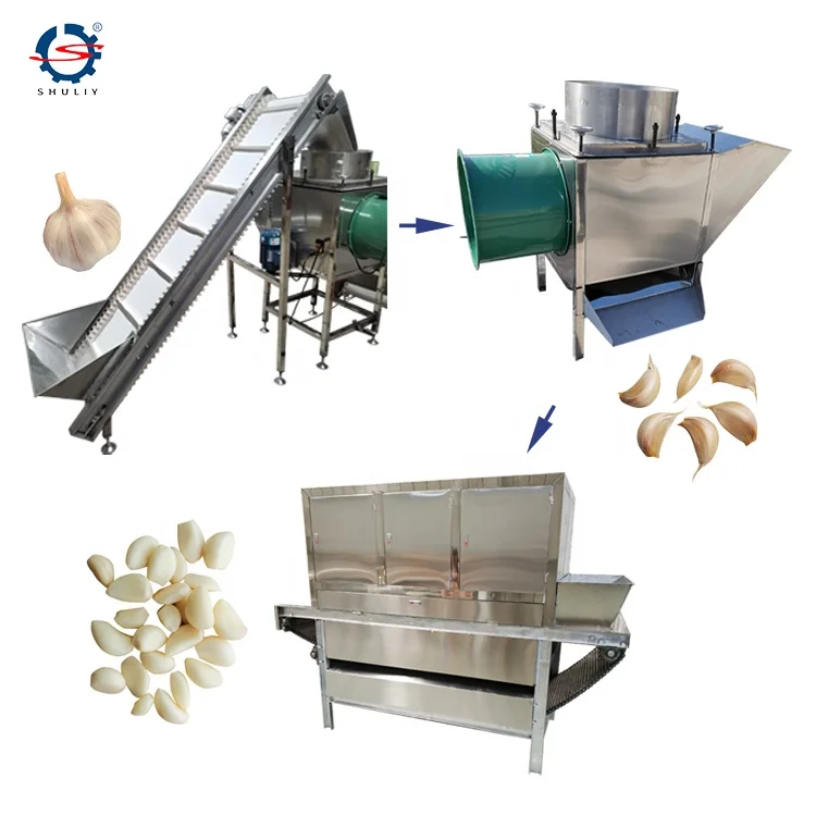 Garlic peeler machine - Shuliy Machinery