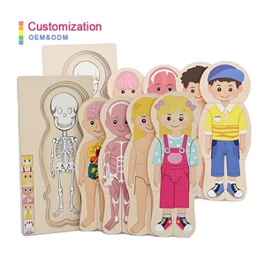 New Human Structure Jigsaw Puzzle Boy and Girl Multilayer Colorful Paint Wooden Toy Educational and Montessori for Children
