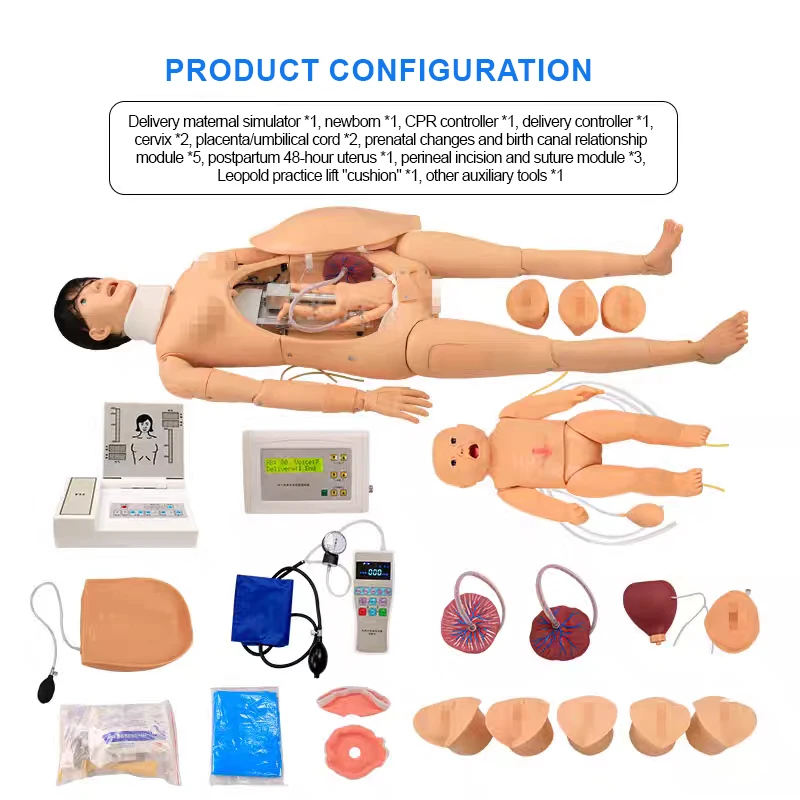 BIX-F55 High Level PVC Life-Size Realistic Childbirth Teaching