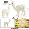 Alpaca colorata 2350