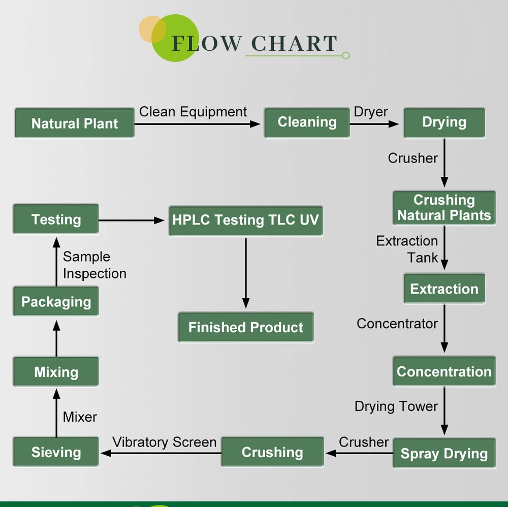 Blueberry powder product process Blueberry powder product process