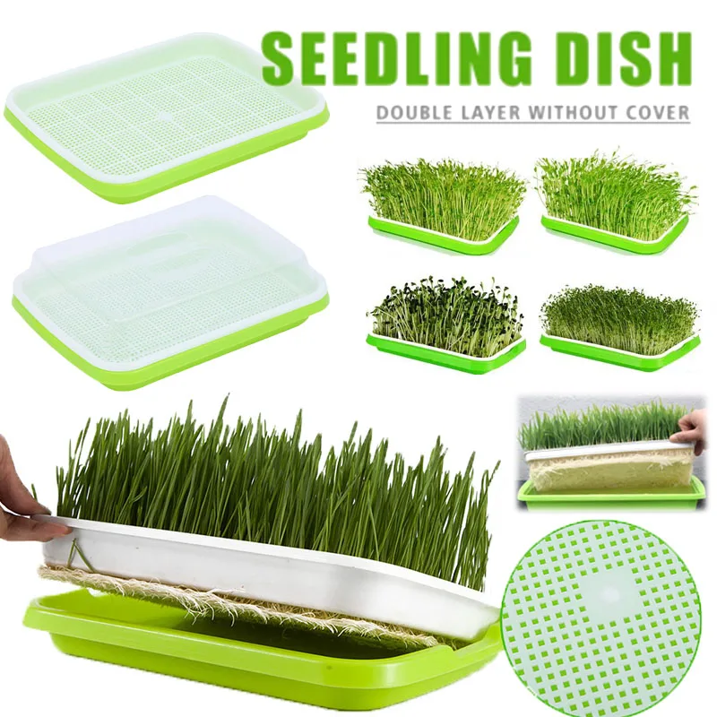 Plant Plastic Breathable Seedling Box Basin Moisturizing Hydroponic ...