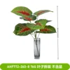 Taro de corazón rojo
