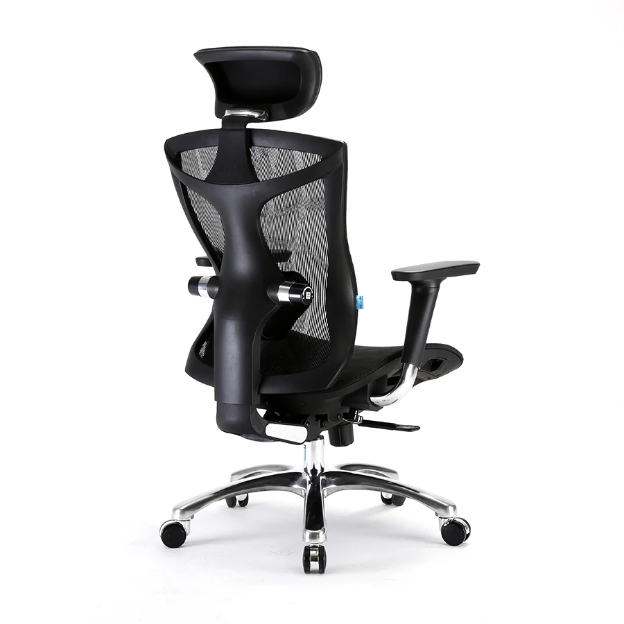 Sihoo Ergonomic Office Chair