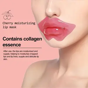 Costom OEM ODM Compressed Sheet Moisturizer Face Lifting Gold Leaf Bio Collagen Crystal Facial Lip Mask for Sale