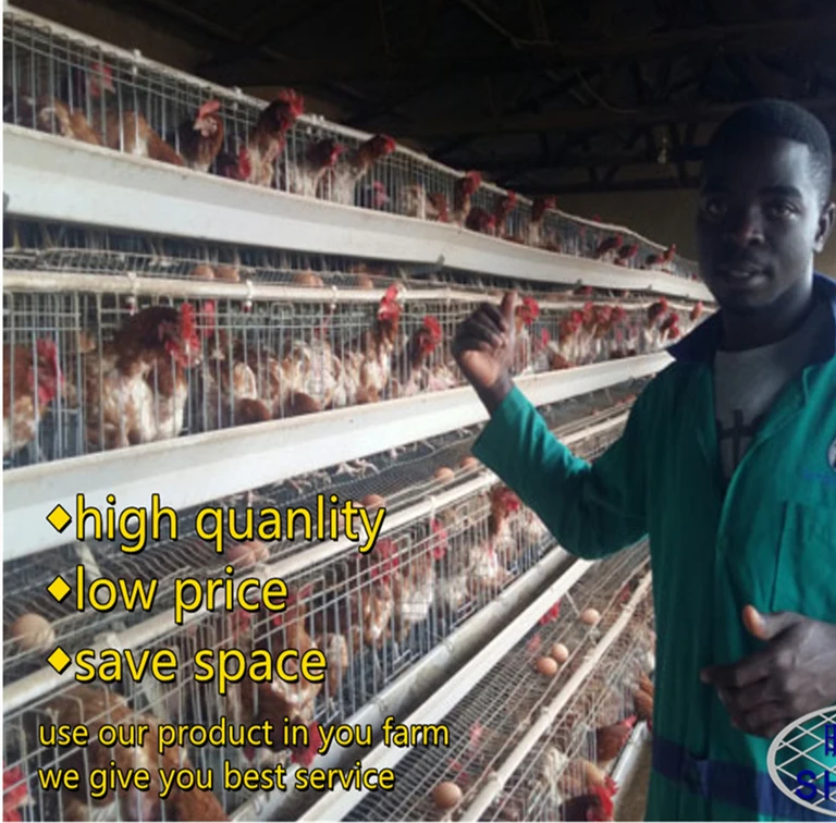 A Type Battery System 3 Tier 120 Layers Chicken Cage for Sale in Nigeria