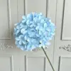 Bleu clair