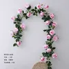 Rose, une vigne en fil de fer rose de montagne enneigée