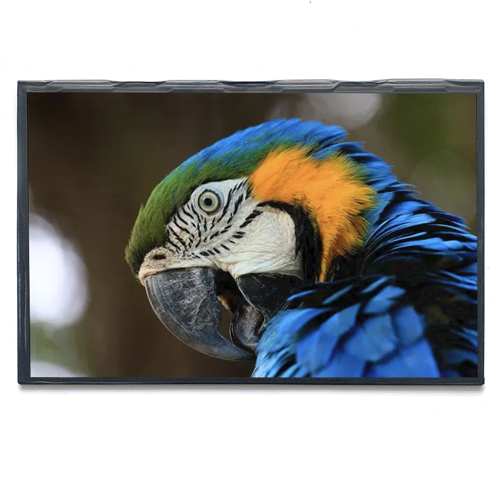 Customized Any brightness 1000nits 1500cd/m2 10.1 inch 1920x1080 high brightness lcd monitor G101EVN03.1 Outdoor digital signage