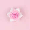 Tête de rose rose dégradée