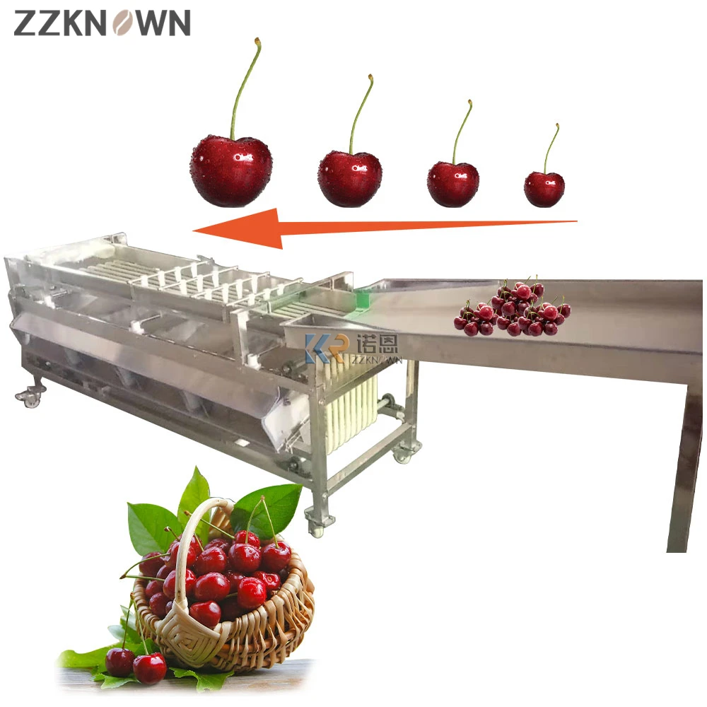Industrial Fruit Sorting Machine Tomato Grader Commercial Pomegranate