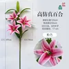 ลิลลี่ฟิล์มพิมพ์ 3 มิติ ก้านสูง สีชมพู