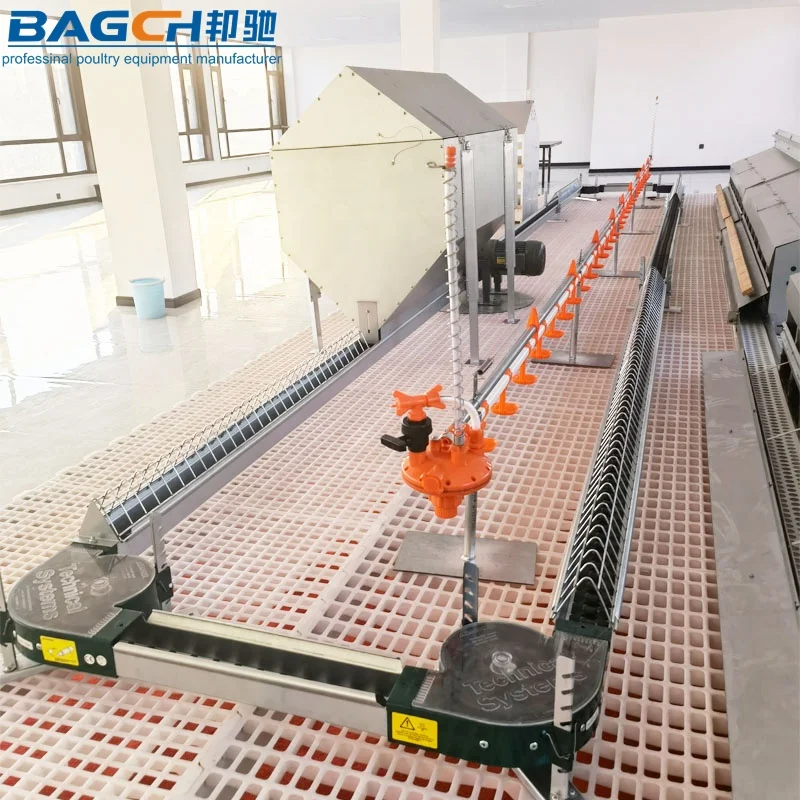 High Quality Automatic Broiler Breeder Egg Nest Box Farm Equipment Hen ...