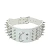 Blanc-argent