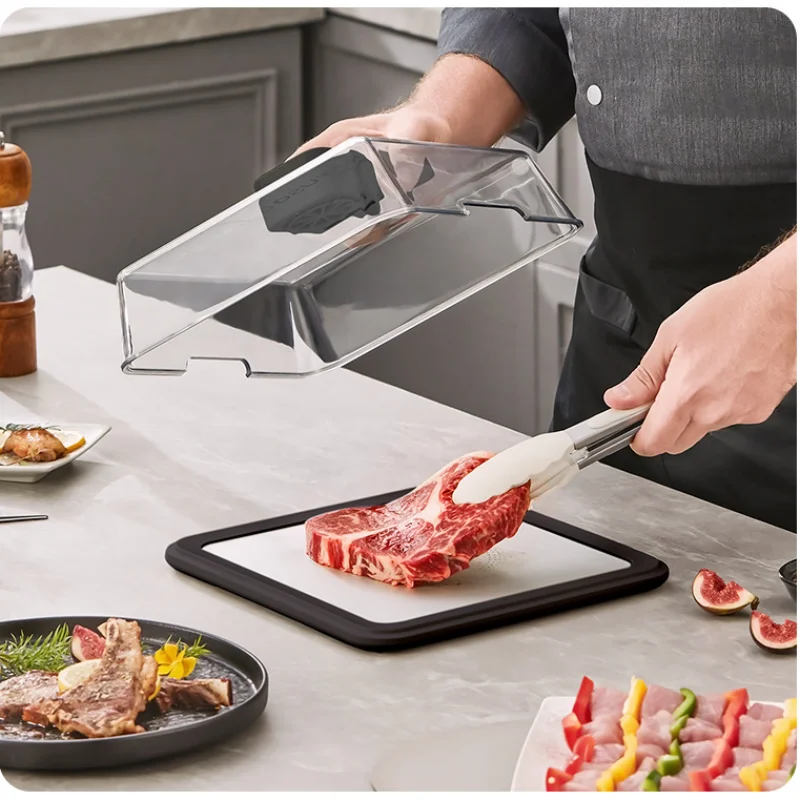 Seafood Electric Thawing Plate, ABS - detail 16