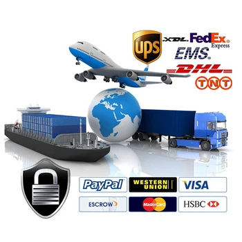 International express DHL UPS Fedex and local shipping company
