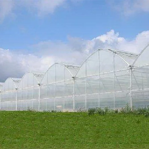 Winter Greenhouse Film