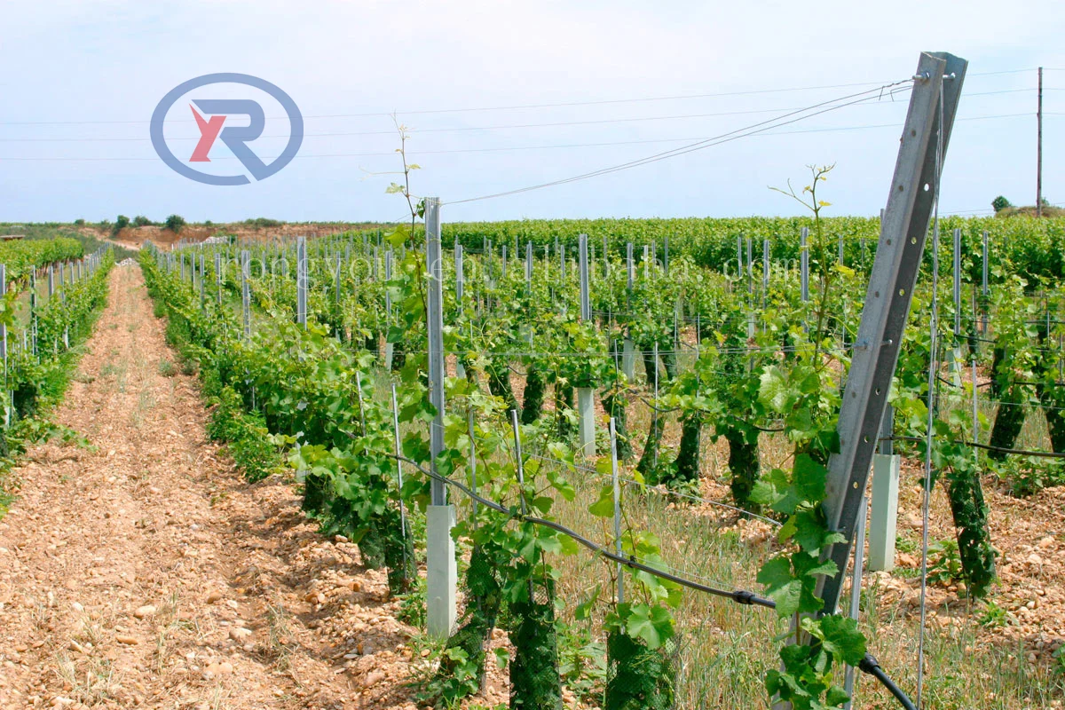 High Strength Hot Dipped Galvanized Metal Vineyard Post/vineyard Poles