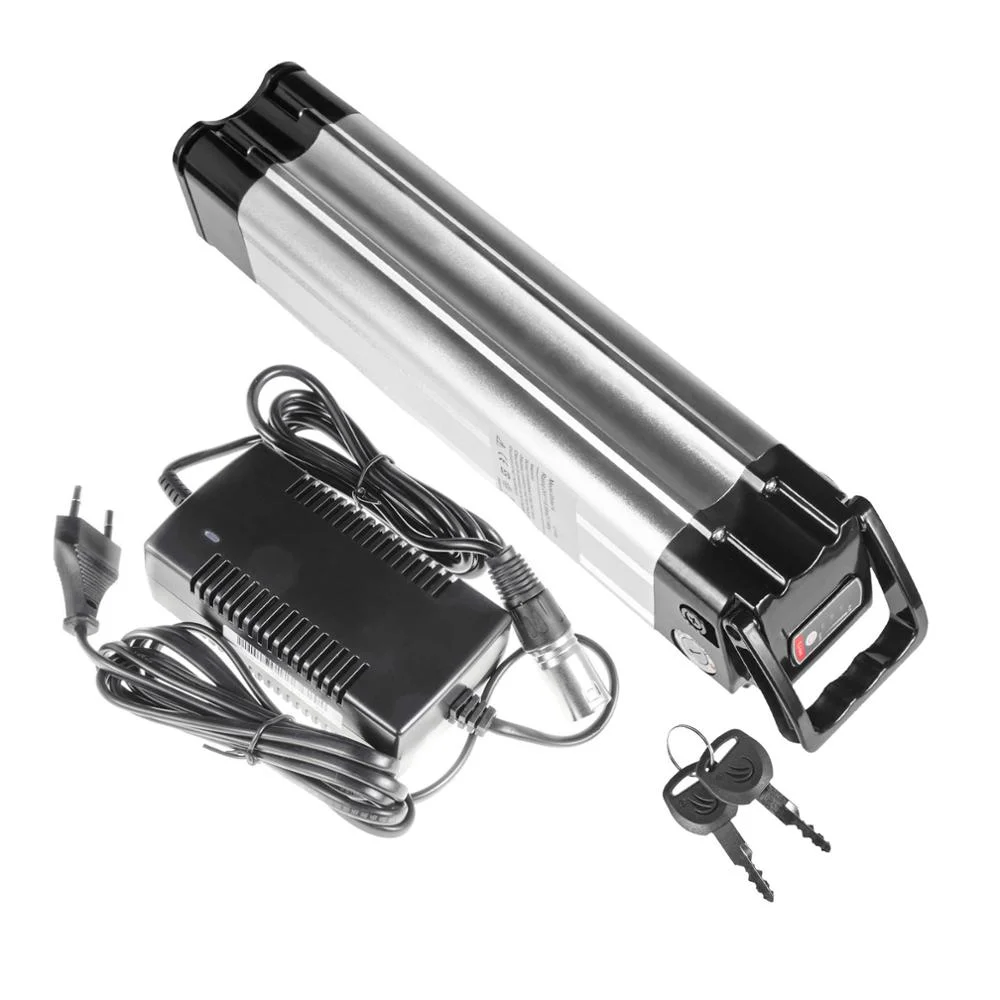 Geb Powerful Optional Cell 1000w 48v 20ah 36v 10ah Electric Bike