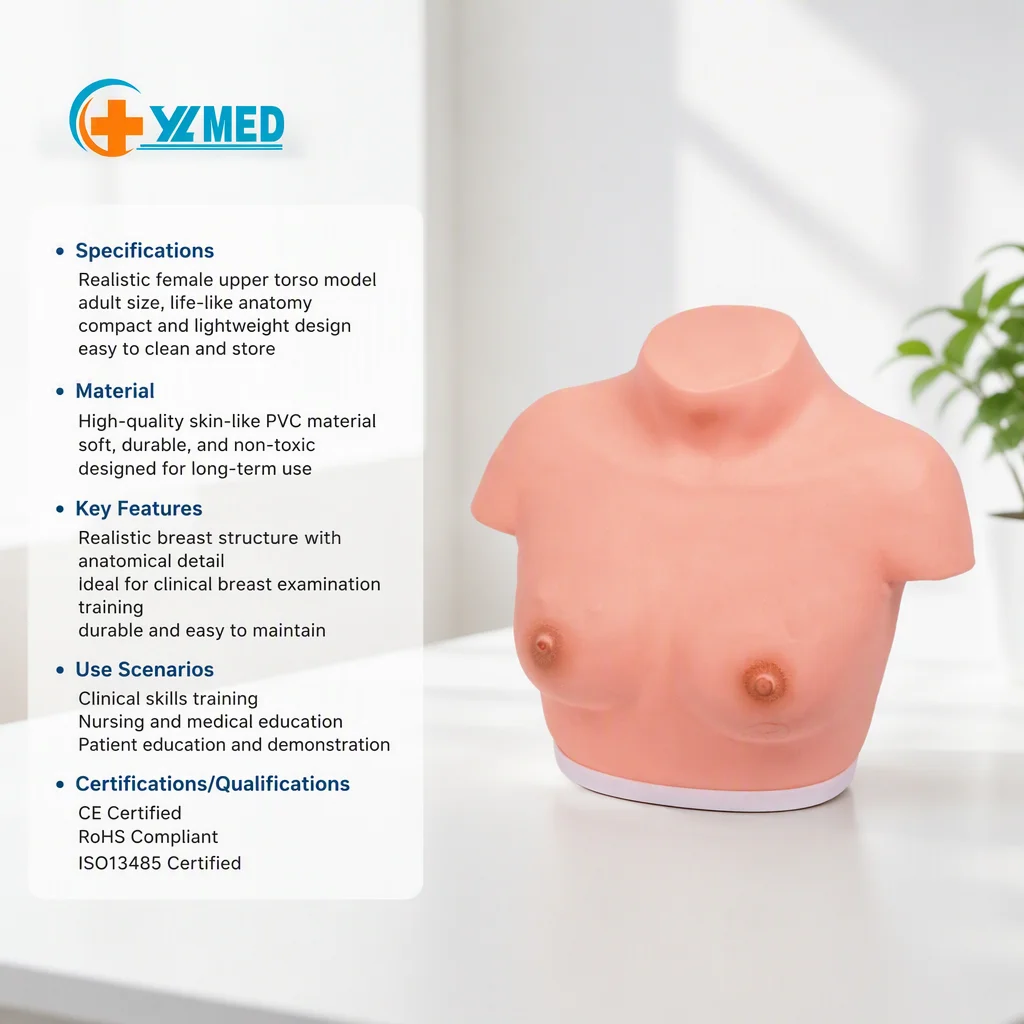 Simulator Female Inspection and Palpation Breast Self Examination Model for Woman Breast Health Screening CE/ISO