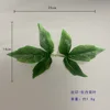 Conjoined Two-Leaf Peony