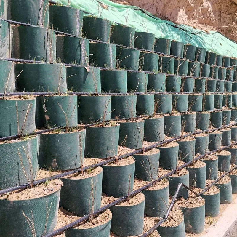 75mm 100mm Height Geocells Graver HDPE Geocell Gravel Grid Stabilizer Road Slope Retaining River Bank