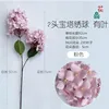 Two-headed pagoda hydrangea with leaves, pink