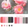 Spring is in full bloom