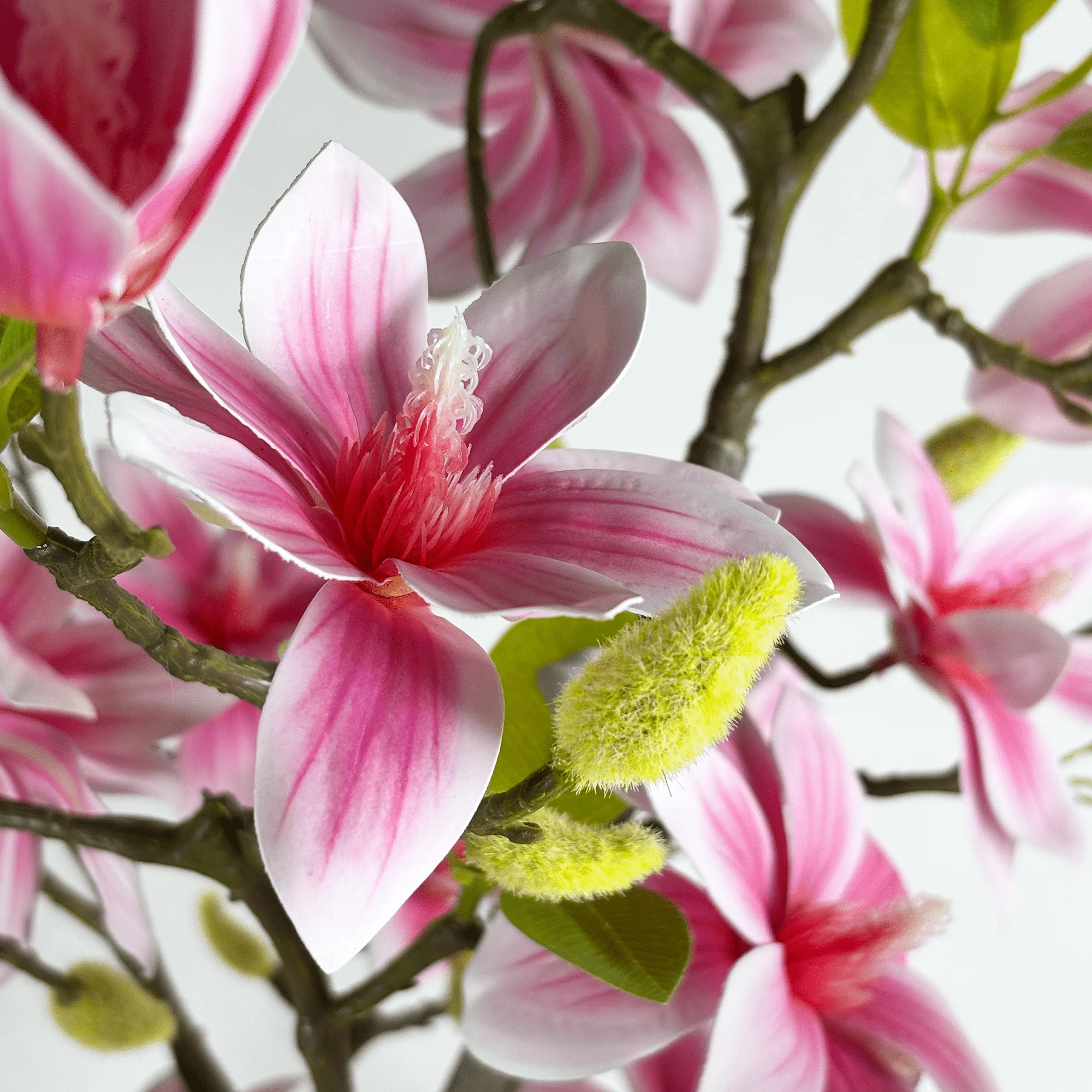 细节图3